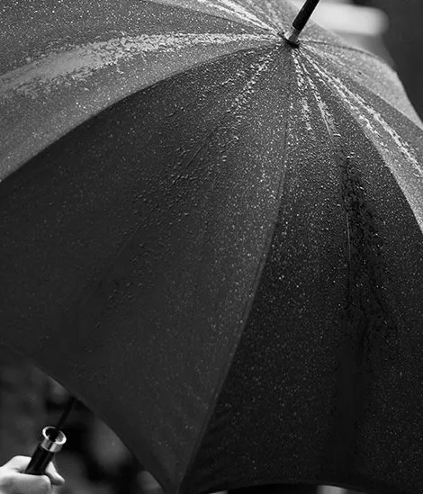 Umbrella