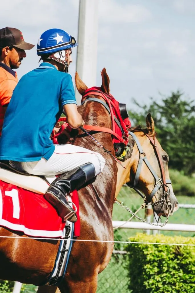 Person riding a horse