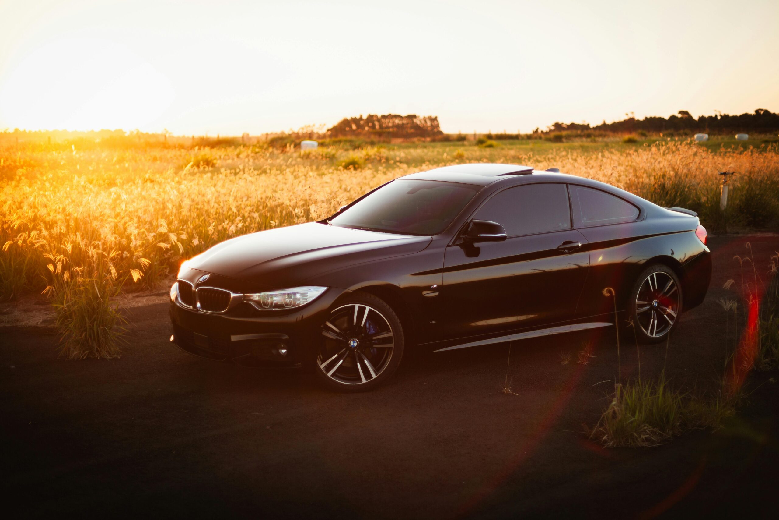 Image of Black BMW